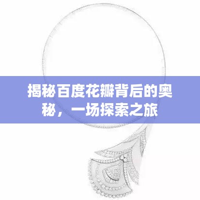 揭秘百度花瓣背后的奥秘，一场探索之旅
