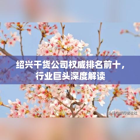 绍兴干货公司权威排名前十，行业巨头深度解读
