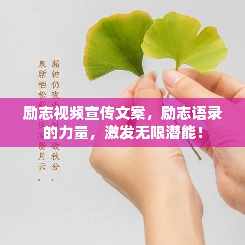 励志视频宣传文案，励志语录的力量，激发无限潜能！