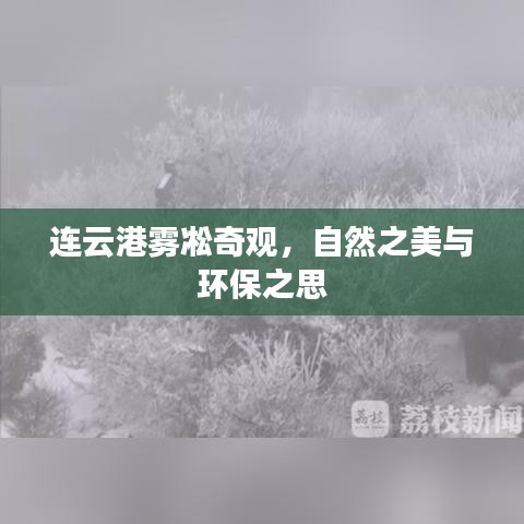 连云港雾凇奇观，自然之美与环保之思