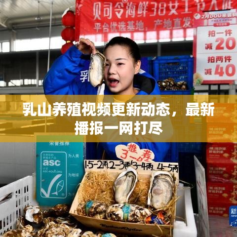 乳山养殖视频更新动态，最新播报一网打尽