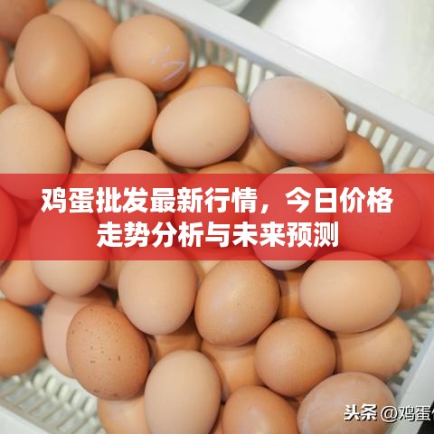鸡蛋批发最新行情，今日价格走势分析与未来预测