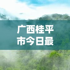 广西桂平市今日最新动态概览