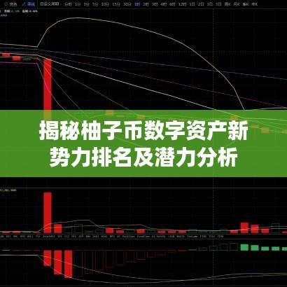 揭秘柚子币数字资产新势力排名及潜力分析