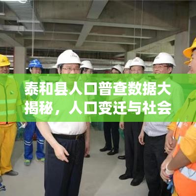 泰和县人口普查数据大揭秘，人口变迁与社会发展新动向