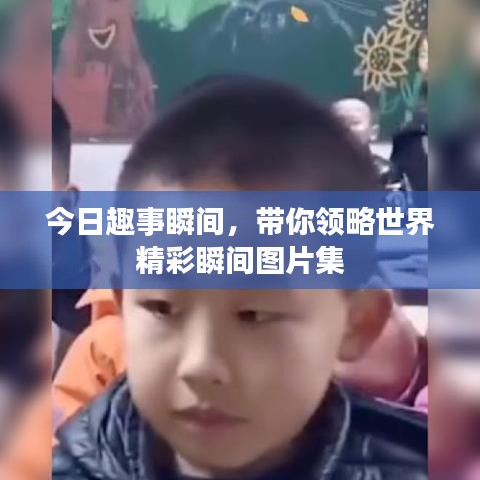 今日趣事瞬间，带你领略世界精彩瞬间图片集