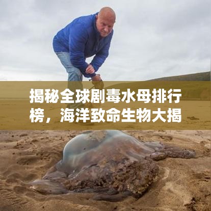揭秘全球剧毒水母排行榜，海洋致命生物大揭秘
