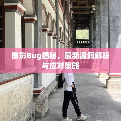 傲影Bug揭秘，最新漏洞解析与应对策略