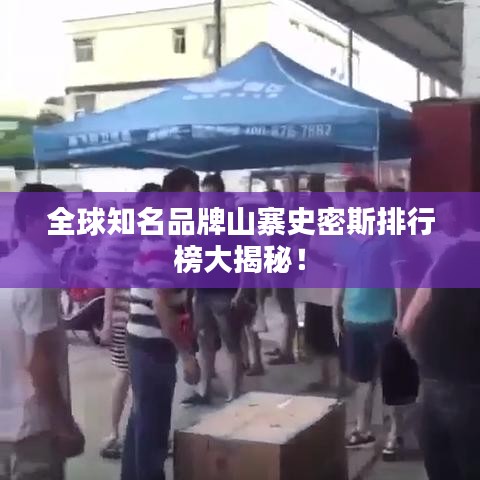 全球知名品牌山寨史密斯排行榜大揭秘！