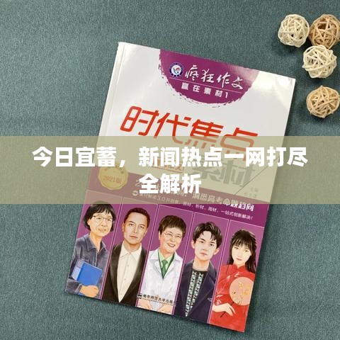 今日宜蓄，新闻热点一网打尽全解析