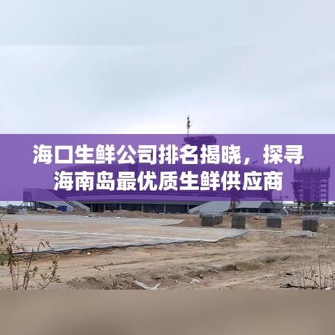 海口生鲜公司排名揭晓，探寻海南岛最优质生鲜供应商