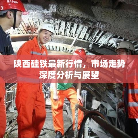 陕西硅铁最新行情，市场走势深度分析与展望