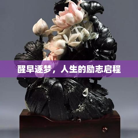 醒早逐梦，人生的励志启程