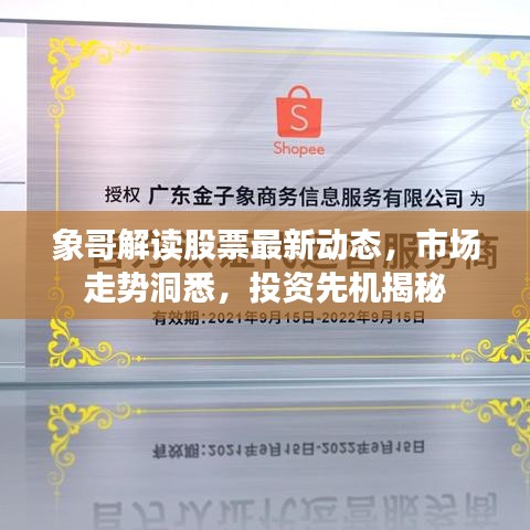象哥解读股票最新动态，市场走势洞悉，投资先机揭秘