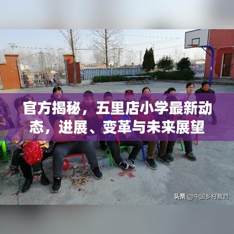 官方揭秘，五里店小学最新动态，进展、变革与未来展望