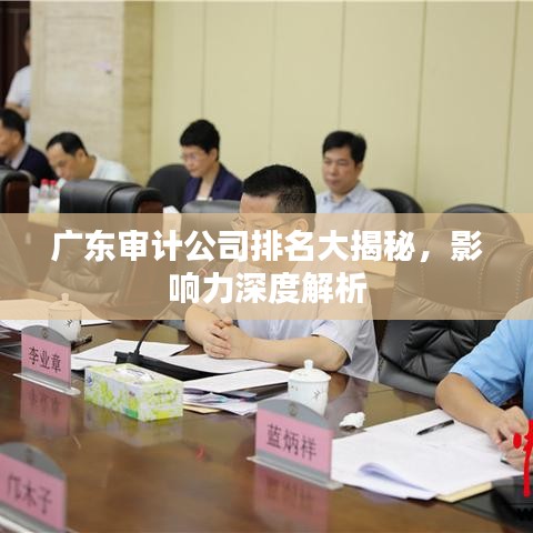 广东审计公司排名大揭秘，影响力深度解析
