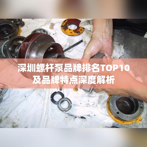 深圳螺杆泵品牌排名TOP10及品牌特点深度解析