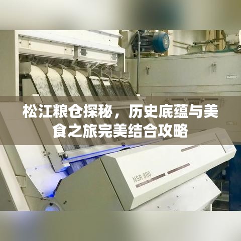 松江粮仓探秘，历史底蕴与美食之旅完美结合攻略
