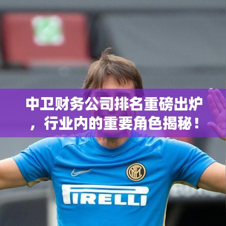 中卫财务公司排名重磅出炉，行业内的重要角色揭秘！