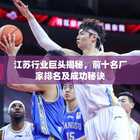 江苏行业巨头揭秘，前十名厂家排名及成功秘诀
