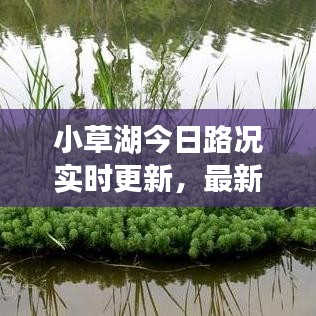 小草湖今日路况实时更新，最新报道全掌握