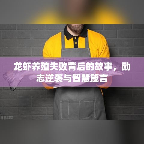 龙虾养殖失败背后的故事，励志逆袭与智慧箴言