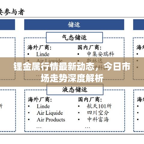 锂金属行情最新动态，今日市场走势深度解析