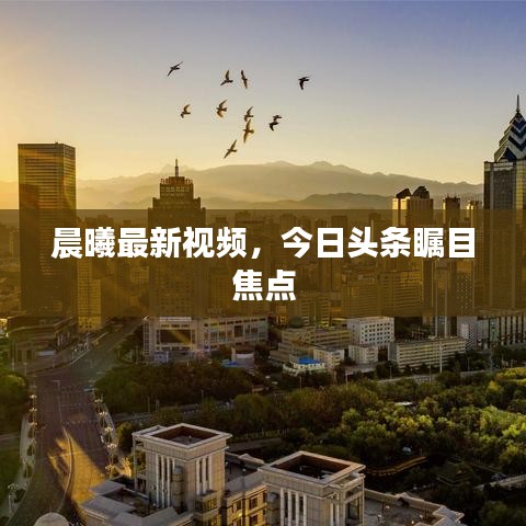 晨曦最新视频，今日头条瞩目焦点