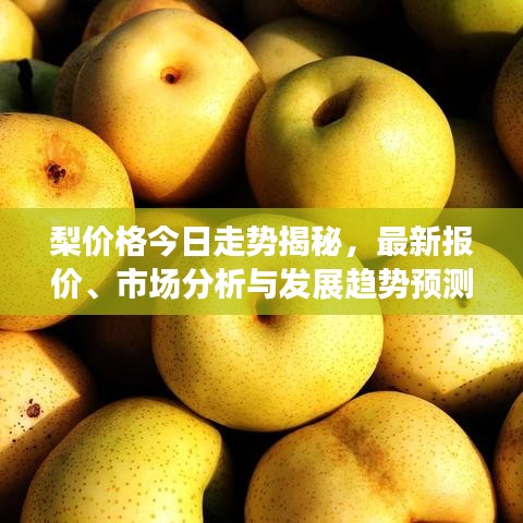 梨价格今日走势揭秘，最新报价、市场分析与发展趋势预测