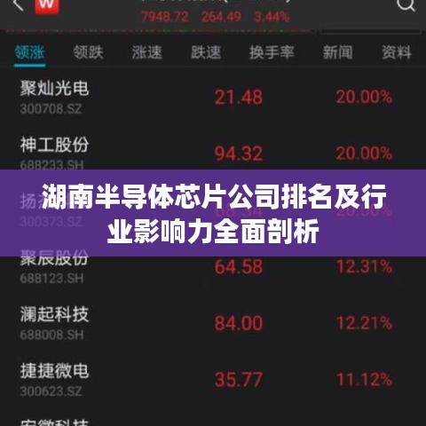 湖南半导体芯片公司排名及行业影响力全面剖析