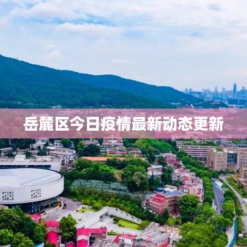 岳麓区今日疫情最新动态更新