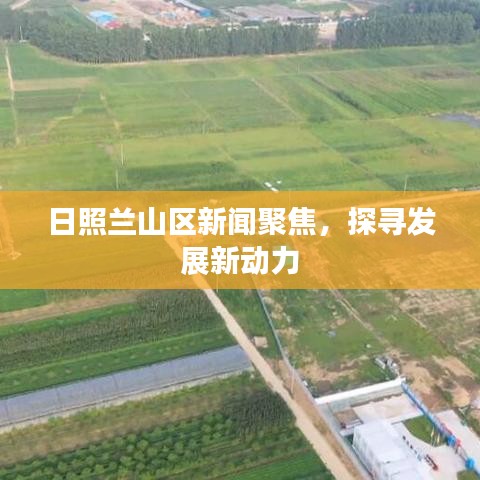 日照兰山区新闻聚焦，探寻发展新动力
