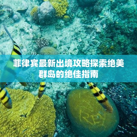 菲律宾最新出境攻略探索绝美群岛的绝佳指南