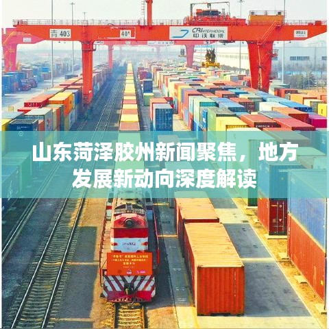 山东菏泽胶州新闻聚焦，地方发展新动向深度解读