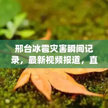 邢台冰雹灾害瞬间记录，最新视频报道，直击灾难现场