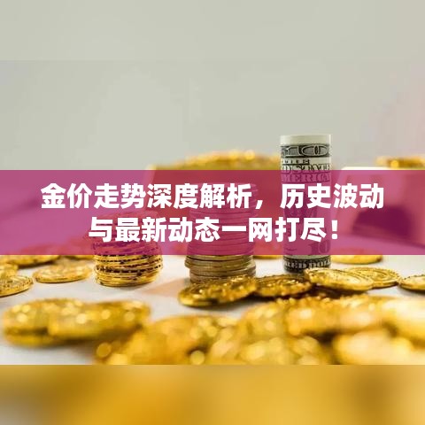 金价走势深度解析，历史波动与最新动态一网打尽！