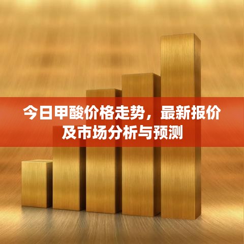 今日甲酸价格走势，最新报价及市场分析与预测