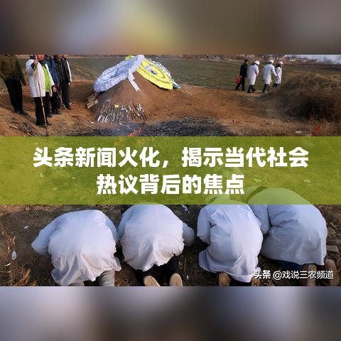 头条新闻火化，揭示当代社会热议背后的焦点