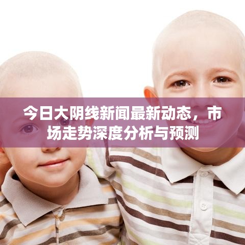 今日大阴线新闻最新动态，市场走势深度分析与预测