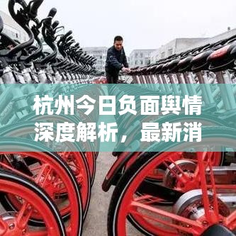 杭州今日负面舆情深度解析，最新消息一网打尽