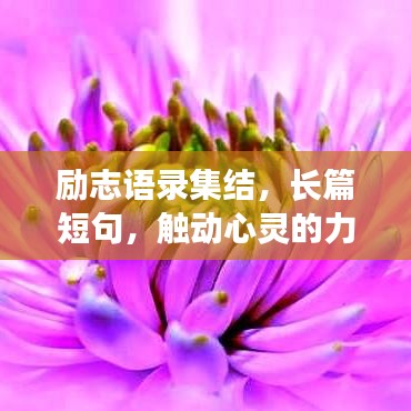 励志语录集结，长篇短句，触动心灵的力量