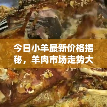 今日小羊最新价格揭秘，羊肉市场走势大揭秘！