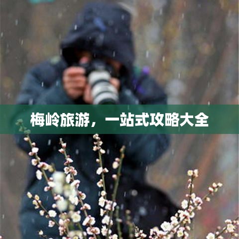梅岭旅游，一站式攻略大全