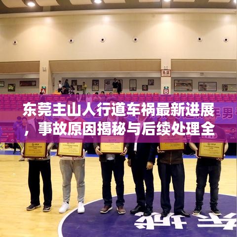 东莞主山人行道车祸最新进展，事故原因揭秘与后续处理全解析