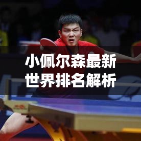 小佩尔森最新世界排名解析，揭秘他的荣耀与努力之路