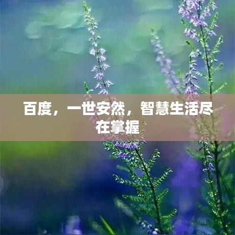 百度，一世安然，智慧生活尽在掌握