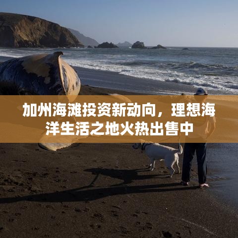 加州海滩投资新动向，理想海洋生活之地火热出售中