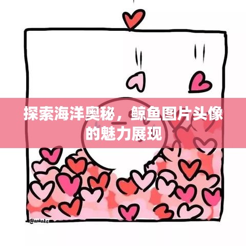 探索海洋奥秘，鲸鱼图片头像的魅力展现