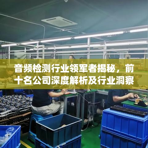 音频检测行业领军者揭秘，前十名公司深度解析及行业洞察