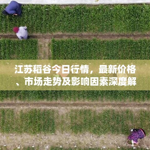 2025年5月28日 第5页